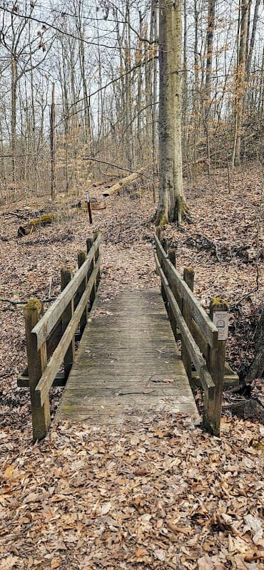 Desonier State Nature Preserve - Image 1