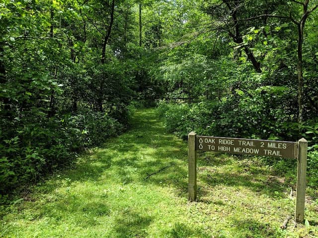 Desonier State Nature Preserve - Image 2
