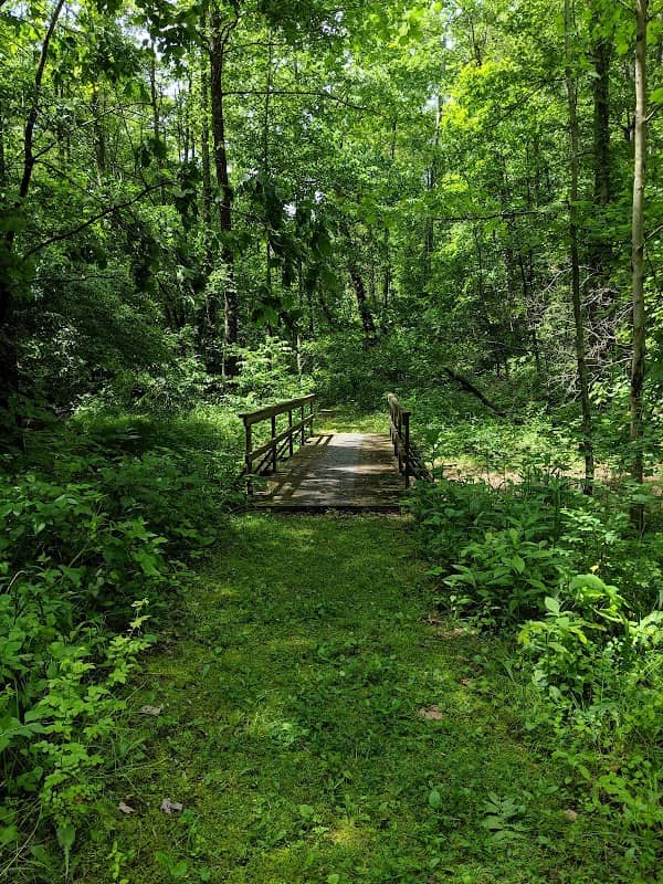 Desonier State Nature Preserve - Image 3