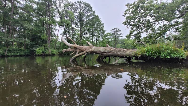 Roger C. Fisher Laurel River Park - Image 3