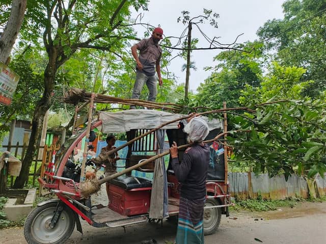 সতেজ নার্সারি - Image 1