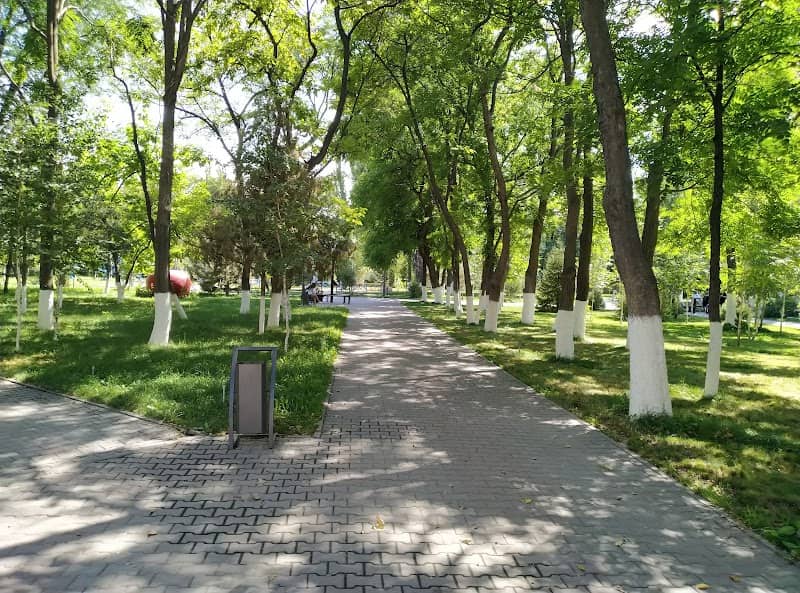 Central Park - Image 1