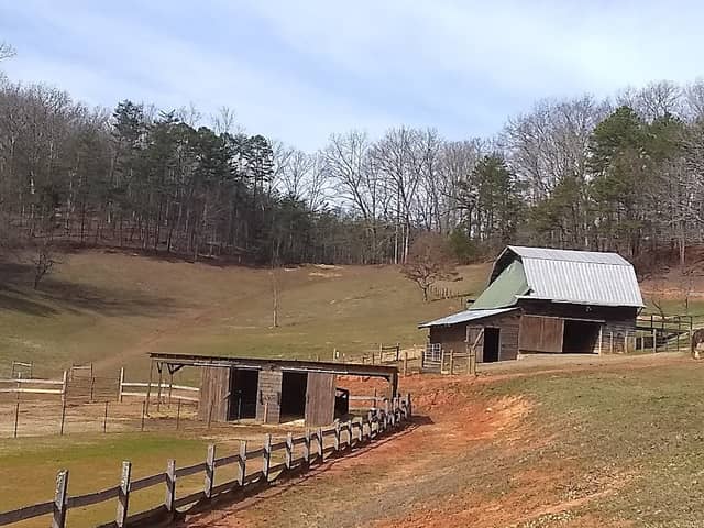 Wing & Hoof Mountain Escape - Image 1