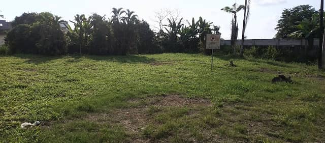 Parque ( en construcción) - Image 1