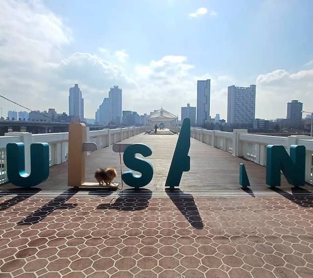 울산교 장생이다리 - Image 2