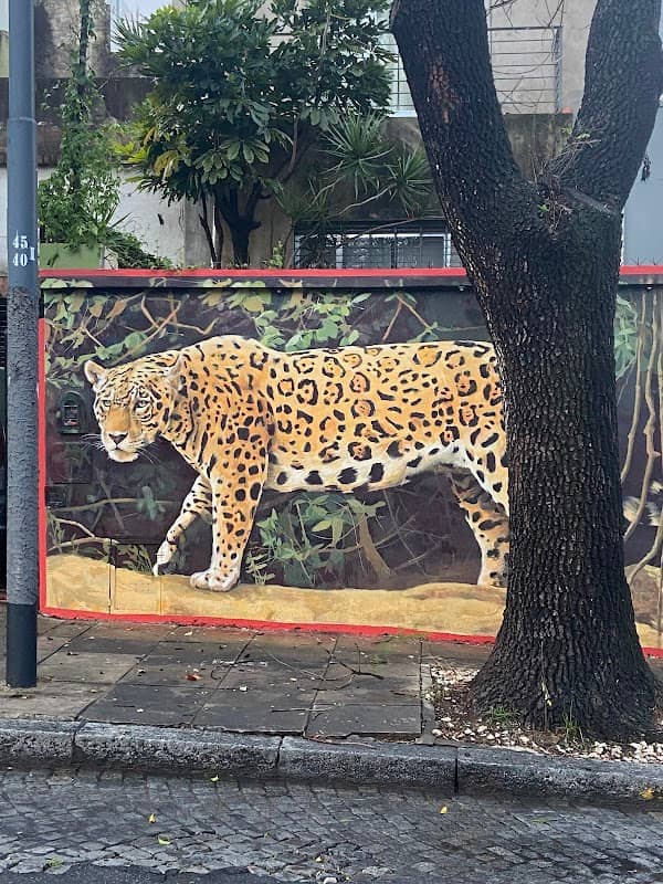 Yaguareté de Roque Pérez - Image 1