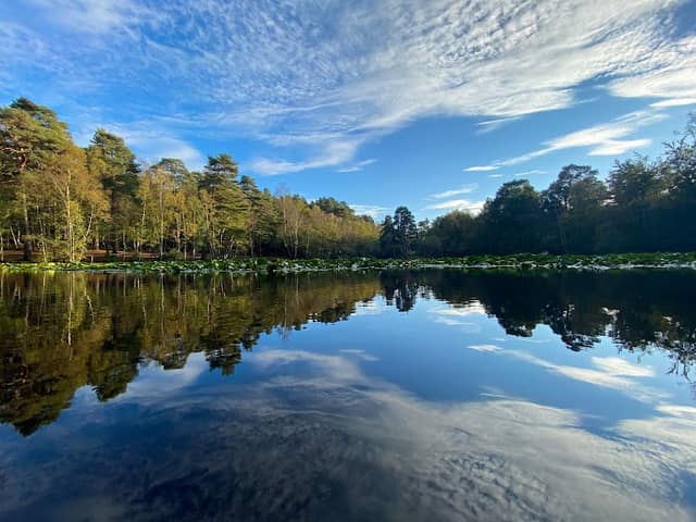 Heath Pool - Image 2