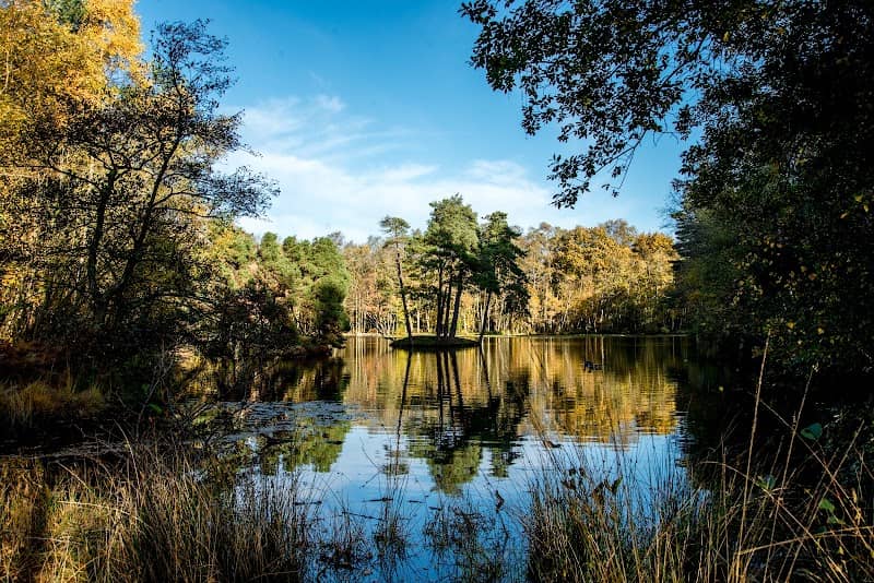 Heath Pool - Image 1