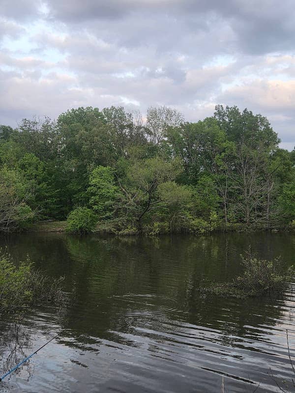 Bayou Bartholomew Public Access Area - Image 1