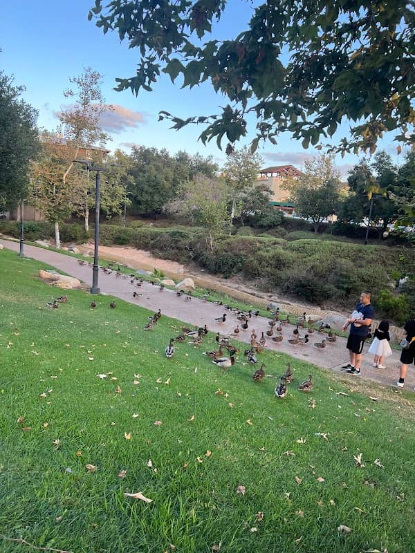 Creekwalk Park - Image 2