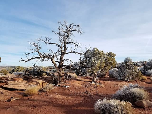 Grand View Point Overlook - Image 2