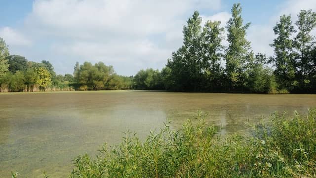Spring Run Conservation Area - Image 1