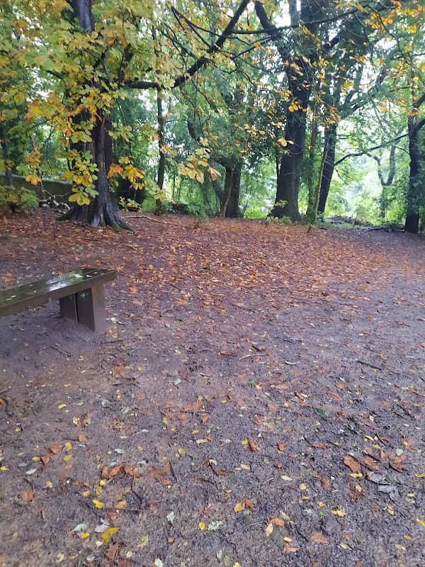 Fenham Carr - Image 2