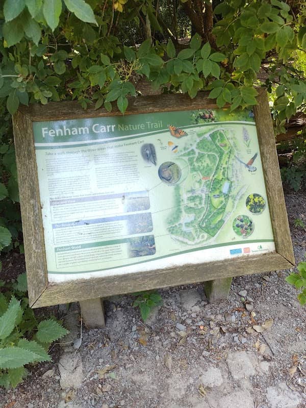 Fenham Carr - Image 1
