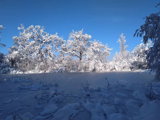 Bodenloser Weiher - Image 1