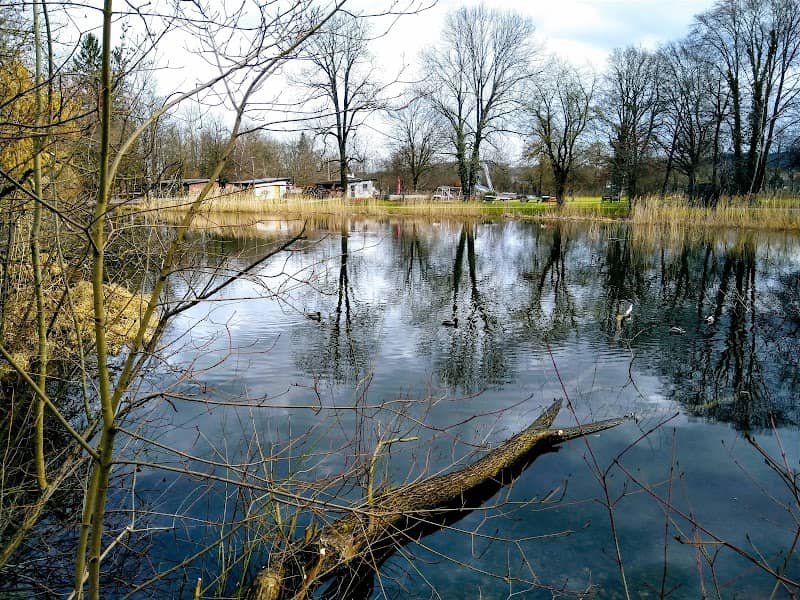 Bodenloser Weiher - Image 2