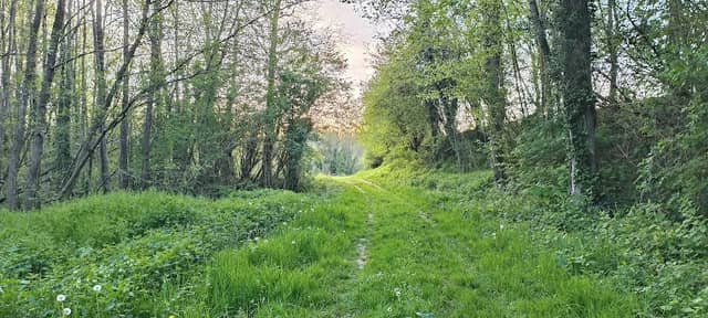Cascade - Image 2