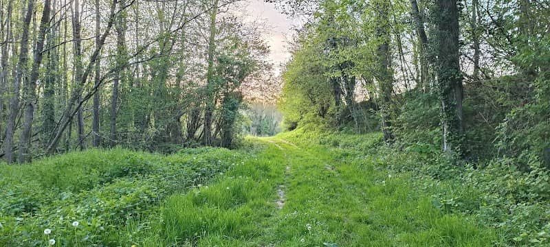 Cascade - Image 2