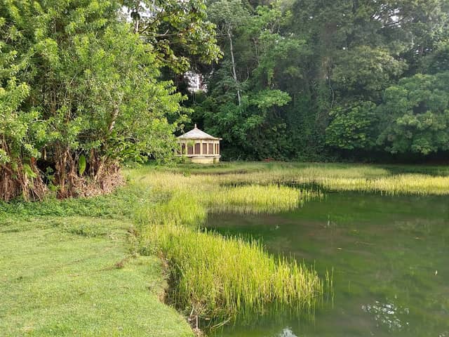 Jardim Botânico Benjamin Maranhão - Image 2