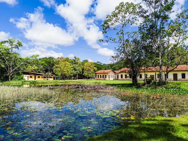 Jardim Botânico Benjamin Maranhão - Image 1