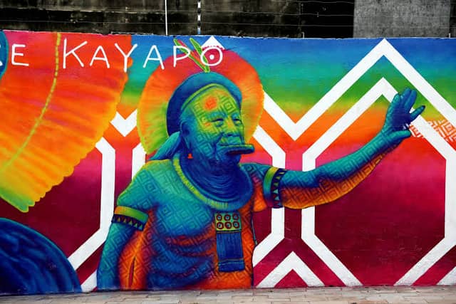 Mural do Cacique Raoni - Image 2