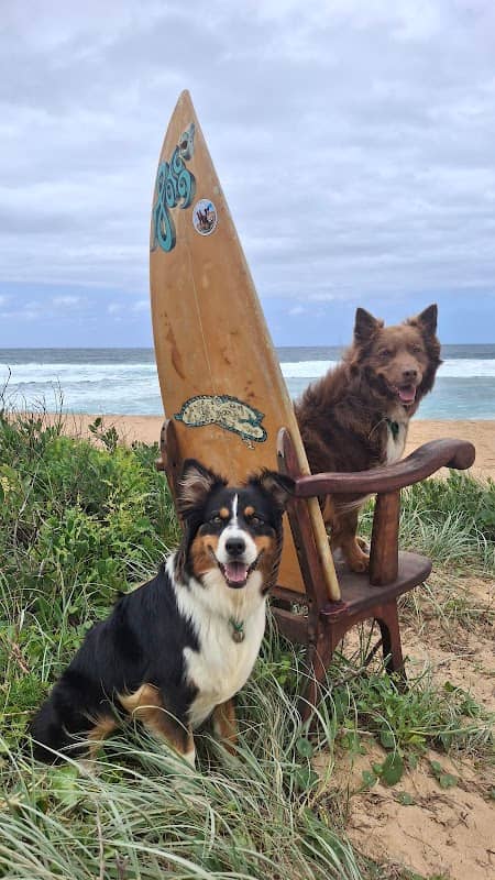 Werri Beach Surf Chair - Image 2