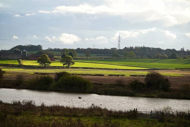 Carr Vale Nature Reserve - Image 2