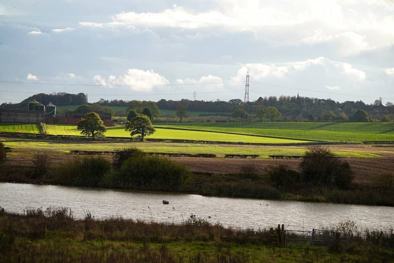 Carr Vale Nature Reserve - Image 2