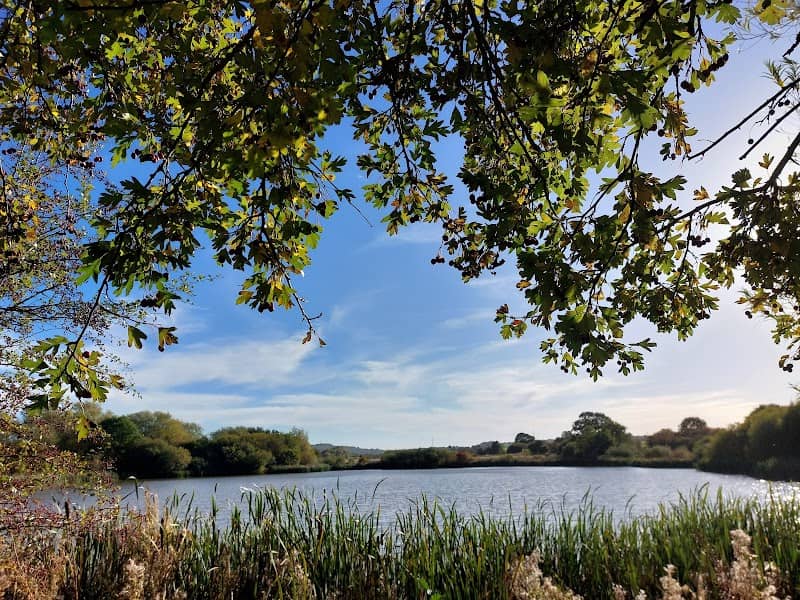 Carr Vale Nature Reserve - Image 1