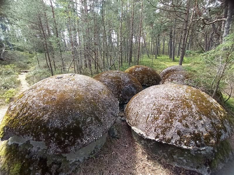 Kopuły schronów obserwacyjnych - Białogóra - Image 1