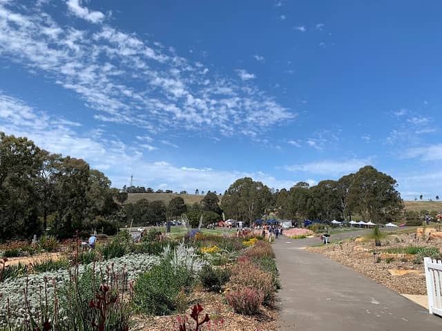 Lakeside Lawn - Image 2