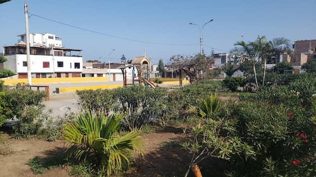 Las Orquideas Central Park - Image 1