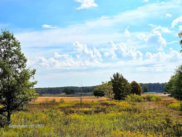 Dam West Recreation Area - Image 2