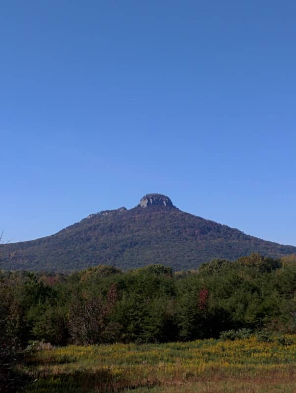 Pinnacle - Image 2