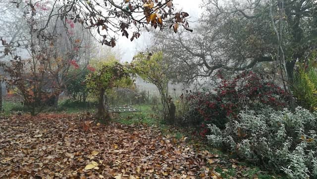 Moulin - Comme un Echo - API'zone Garden - Image 1