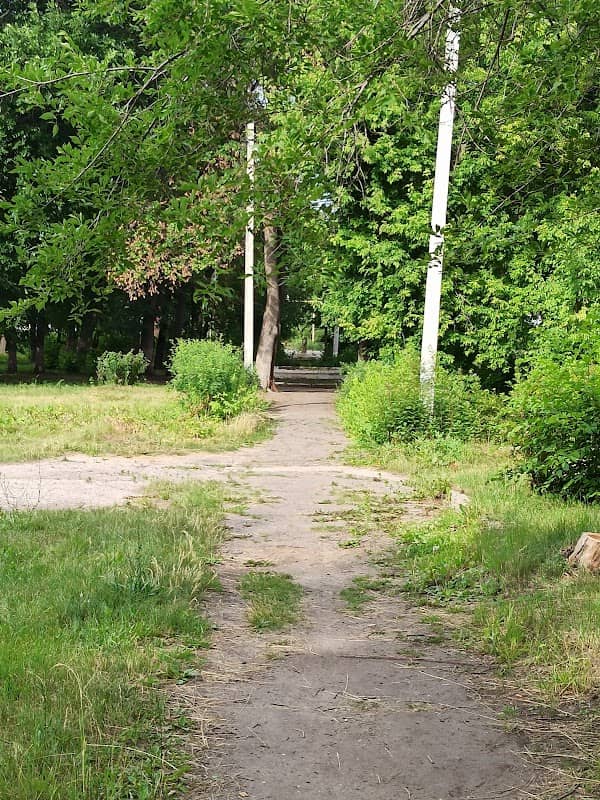 Timiryazevskiy Garden - Image 1