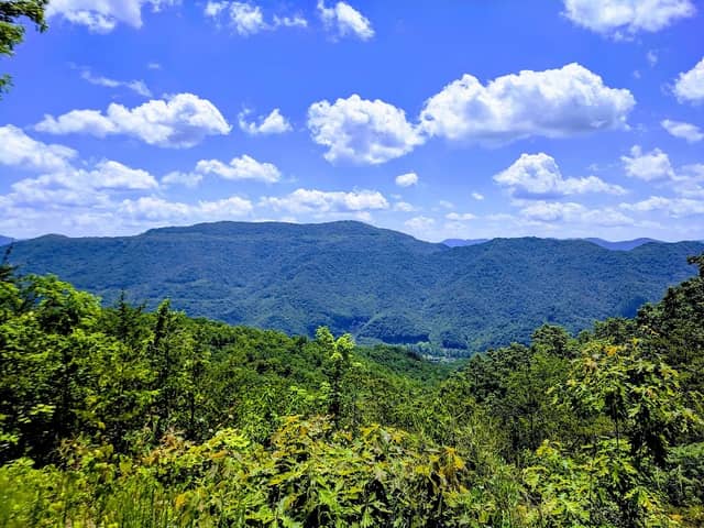 Kentenia State Forest - Image 1