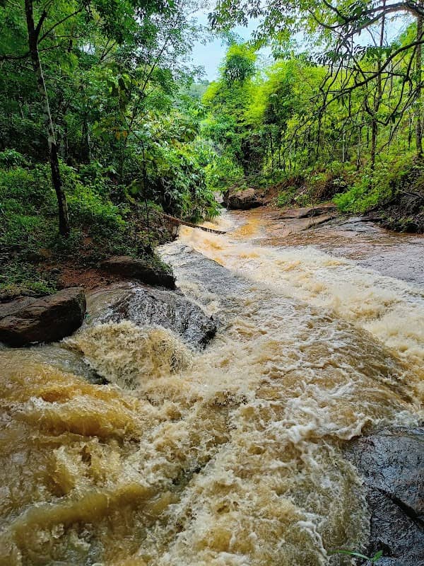 Erappil waterfalls(ഇരപ്പിൽ വെള്ളച്ചാട്ടം) - Image 1
