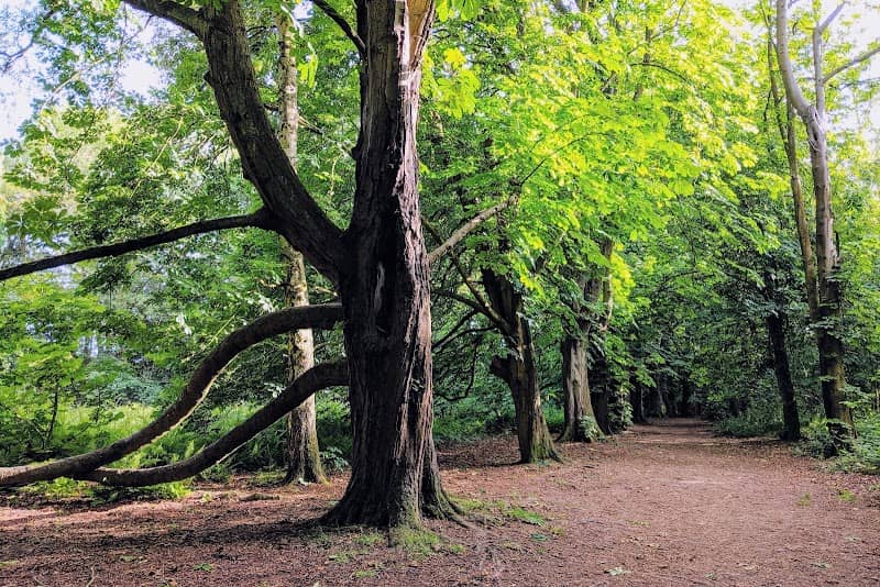 Keephatch Park Nature Reserve - Image 2