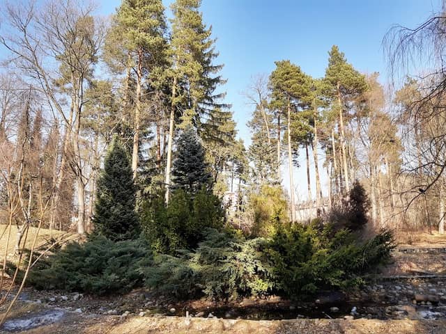 Liptovský Hrádok arboretum - Image 1
