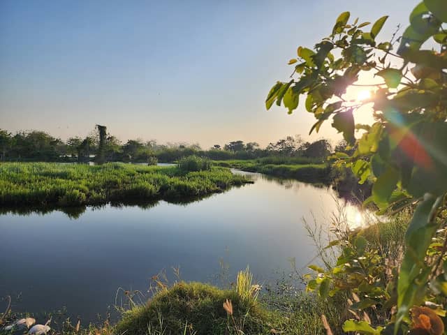 សំបុកបក្សីភូមិគងណយ - Image 1