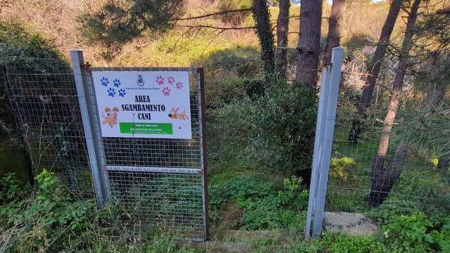 Area sgambamento cani - Image 1