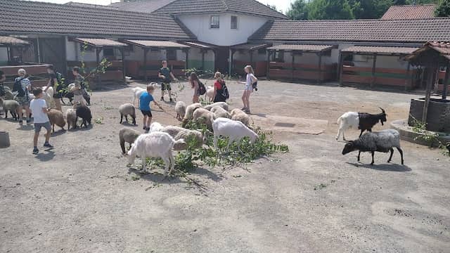 Zoo Park Vyškov - Image 2