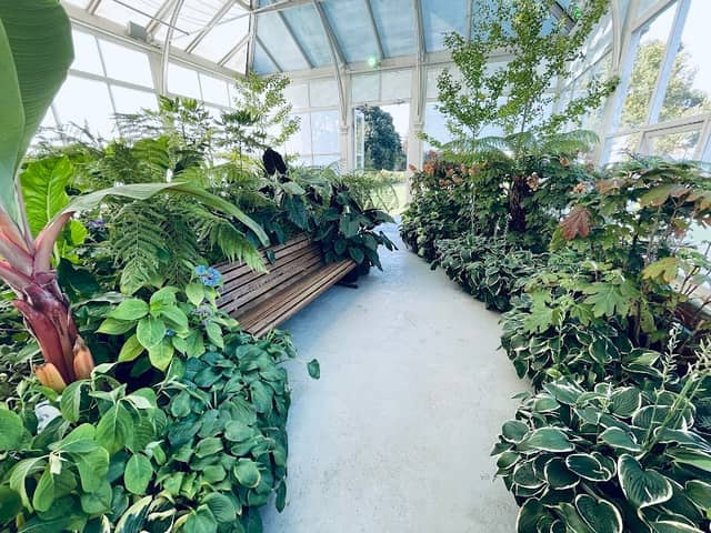 Conservatory Gardens - Image 2