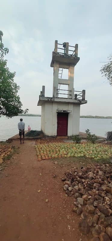 View point - Image 2