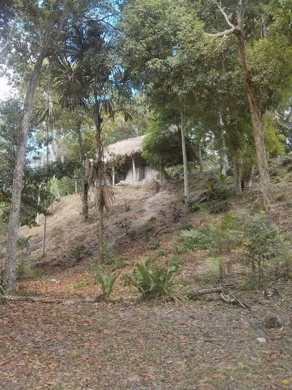 The Lost World - Image 2
