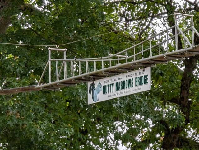 Nutty Narrows - Squirrel Bridges - Image 1
