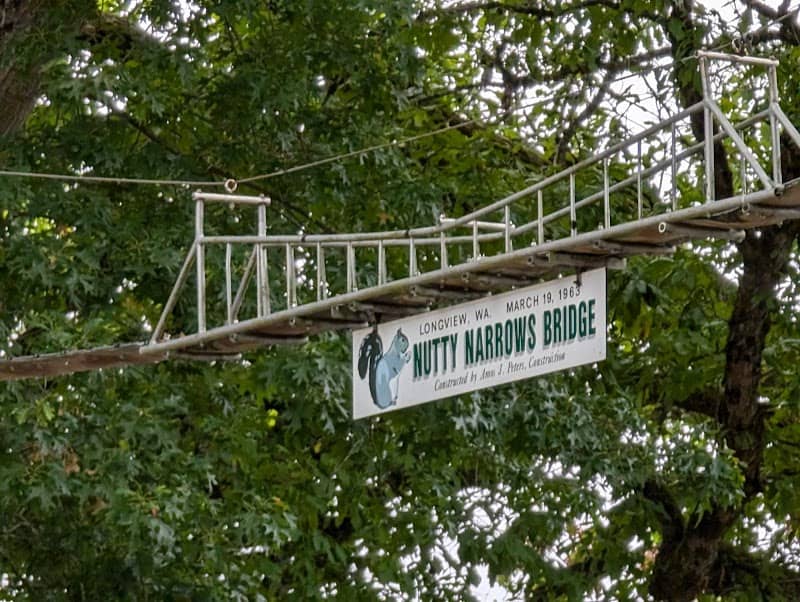 Nutty Narrows - Squirrel Bridges - Image 1