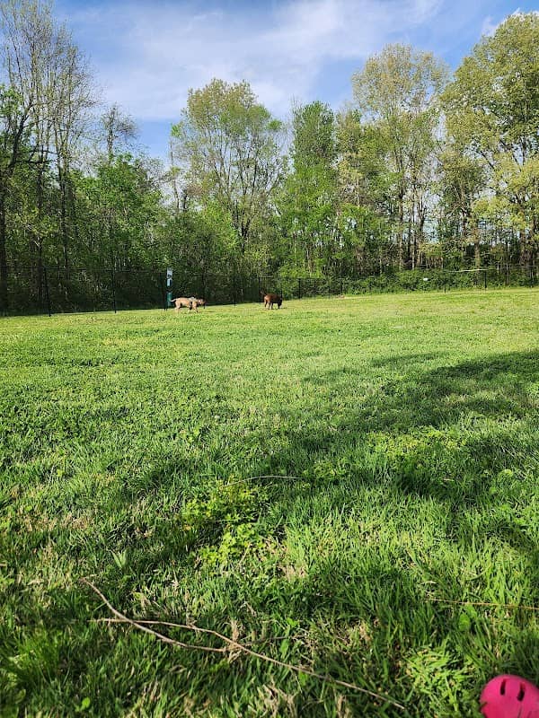 Ashland City Dog Park - Image 1