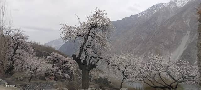 Kamaris Gulmit Gojal Hunza - Image 3